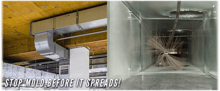 Air Duct Mold Removal in The Colony TX